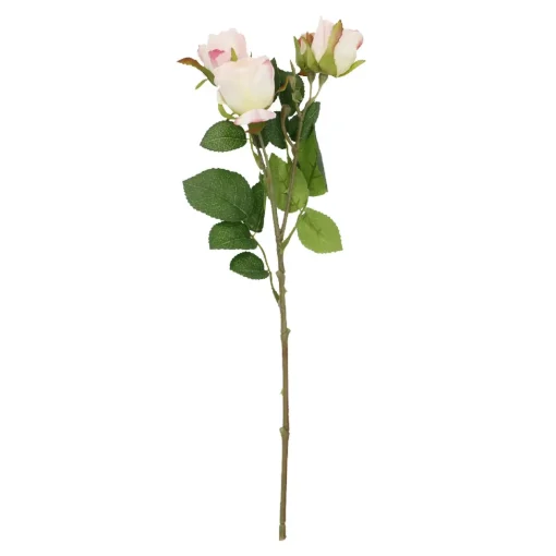 Rose Alina, 3 Blüten/rosa, 38 Cm